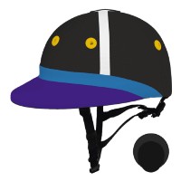 CUSTOMISED Instinct Polo Helmet Argentine Style