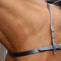 Polo Breastplate   (Silver Range)